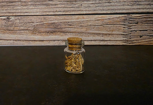 Juvenile Catfish Bones Curio Vial