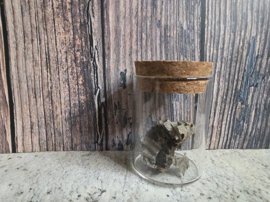 Imperfect Paper Wasp Nest Curio Vial (Cork Top)