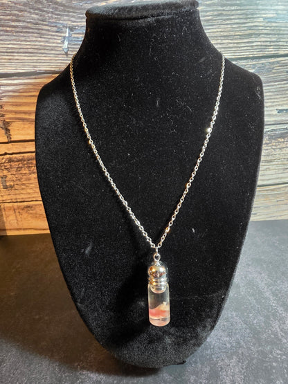 Domestic Quail Heart Wet Specimen Necklace (Long)