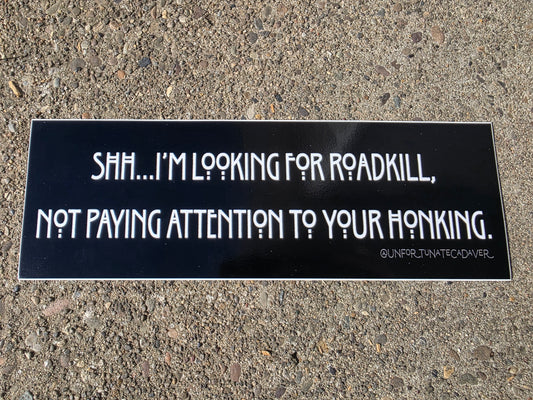 'Looking For Roadkill' Bumper Sticker
