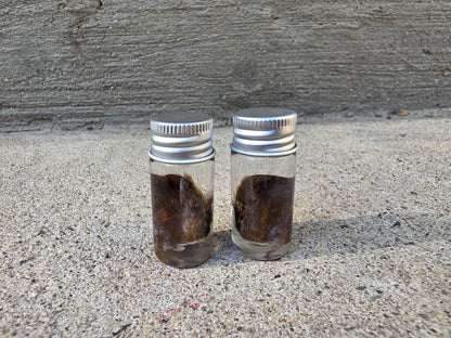 Little Squirrel Ear Wet Specimen Vial
