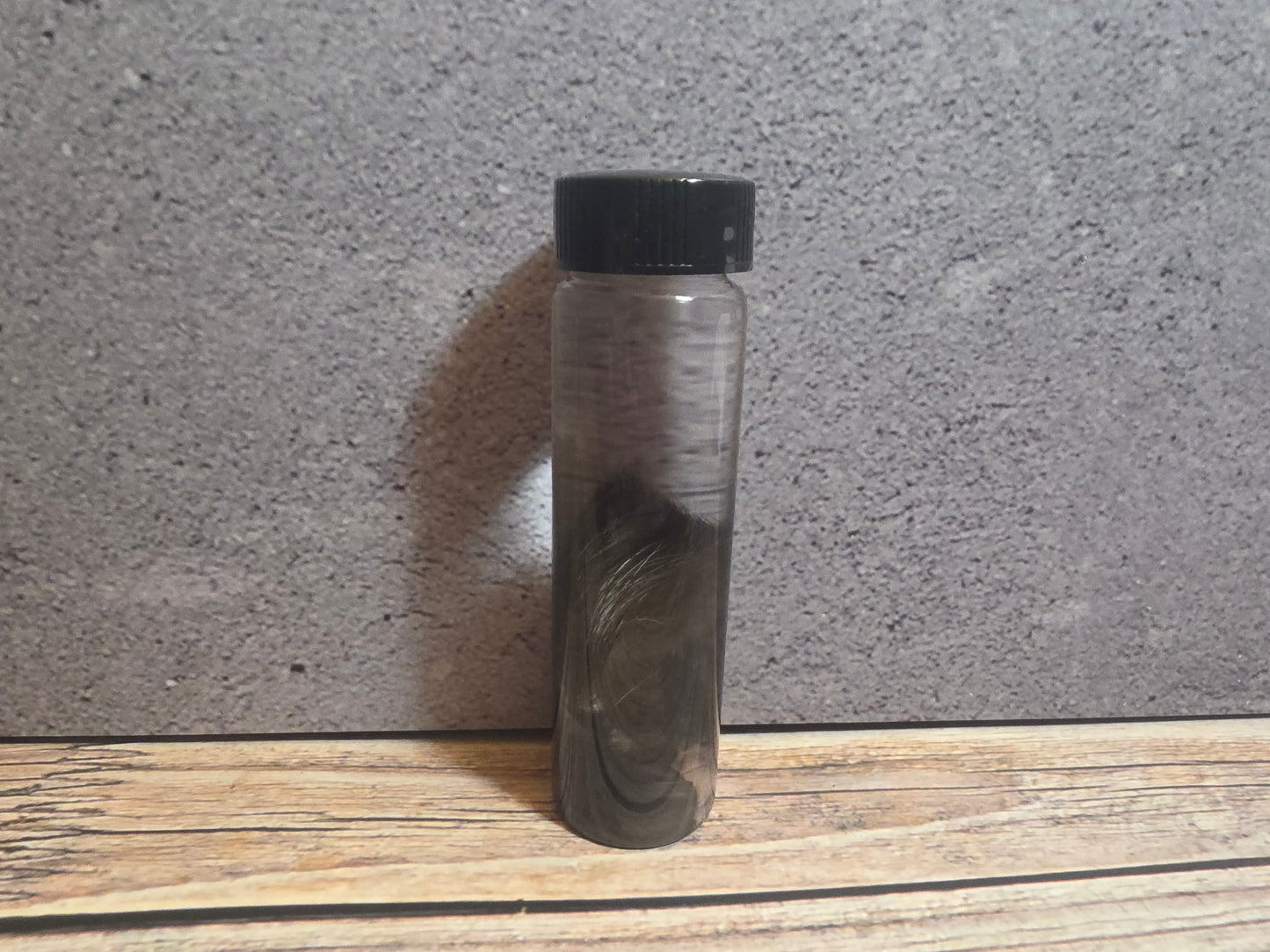 Tuxedo Kitten Ear Wet Specimen