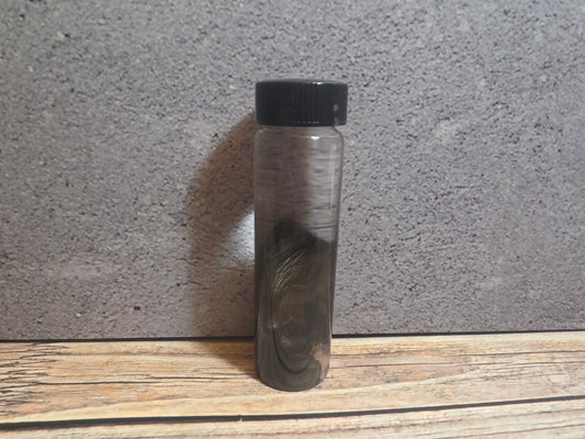 Tuxedo Kitten Ear Wet Specimen