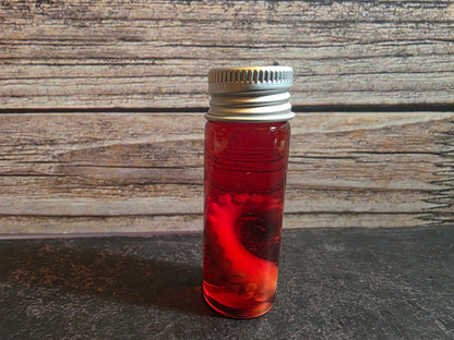 Octopus Tentacle Wet Specimen (Colors)