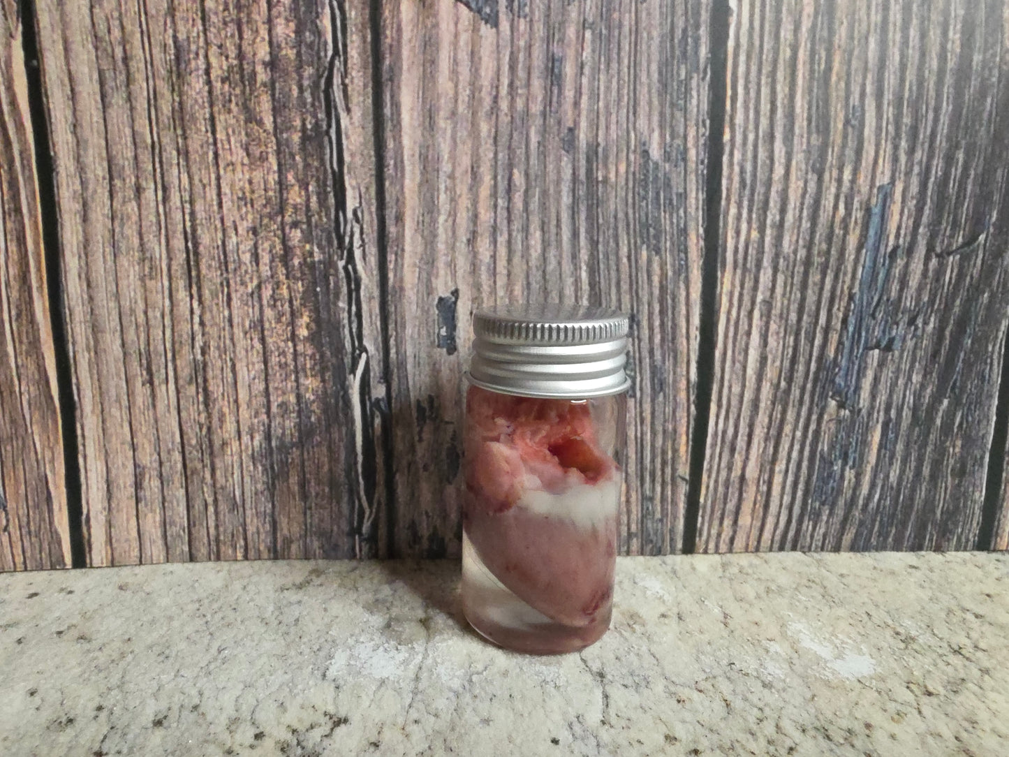 Imperfect Domestic Cat Heart Wet Specimen