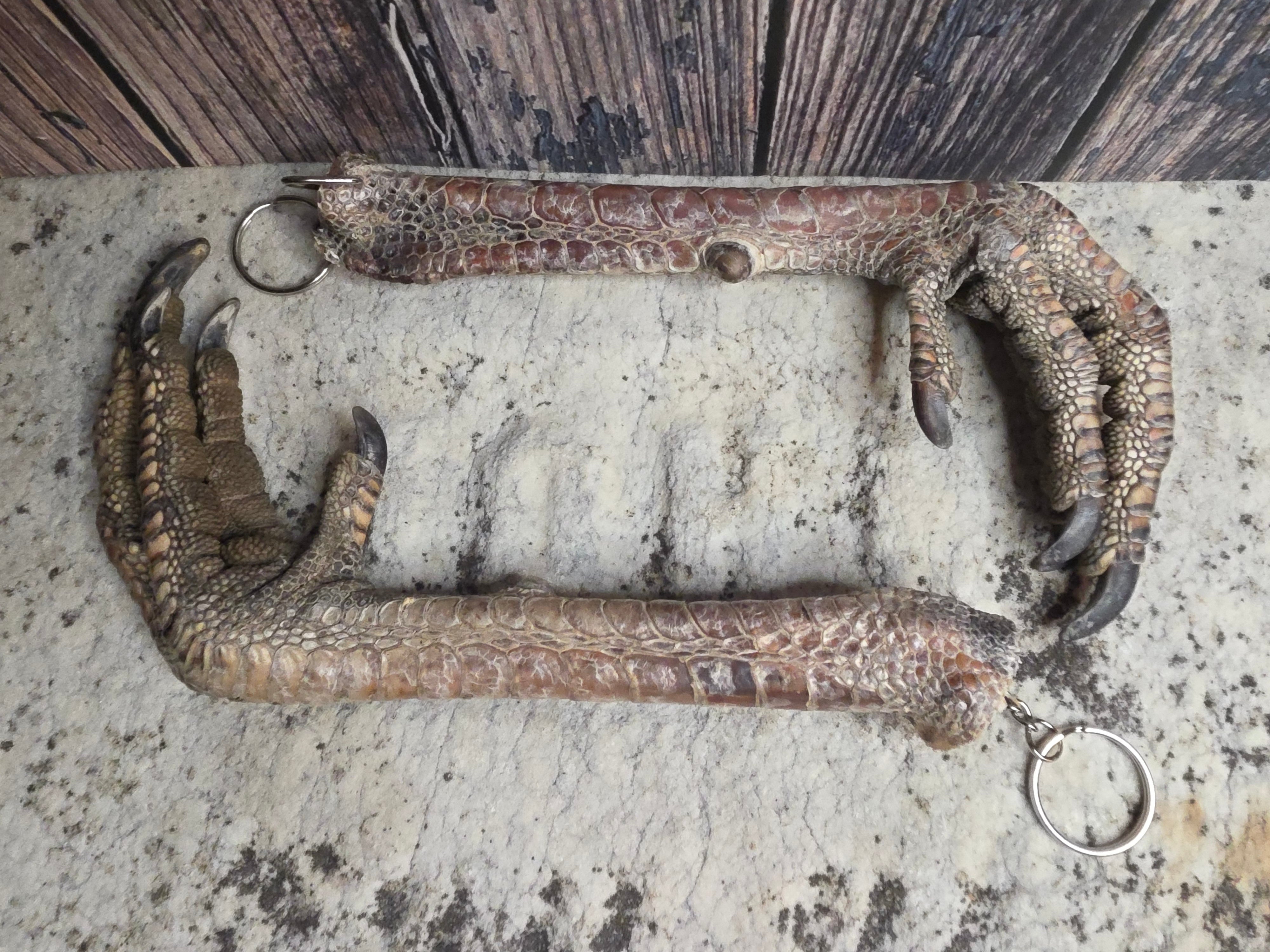 Dry Preserved Turkey Foot Statement Keychain – Unfortunate Cadaver
