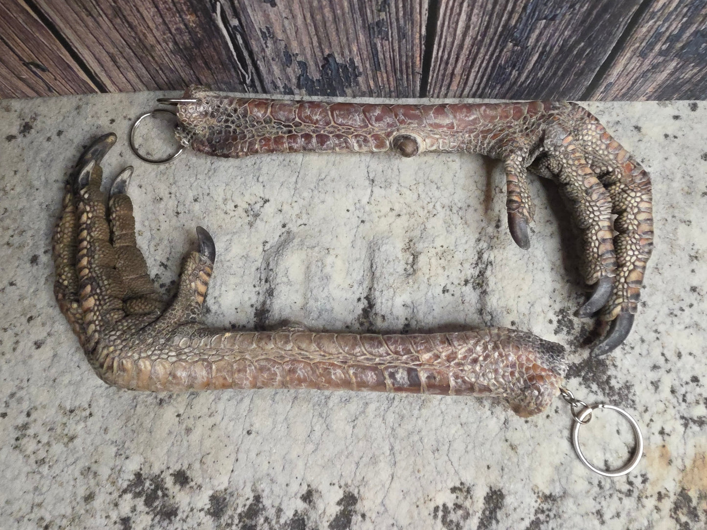 Dry Preserved Turkey Foot Statement Keychain