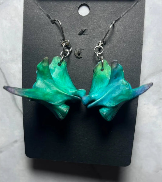 Stained Raccoon Vertebrae Earrings