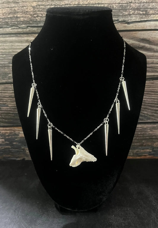 Deer Auditory Bulla Bone Necklace